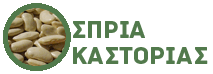 ospria-kastorias-logo