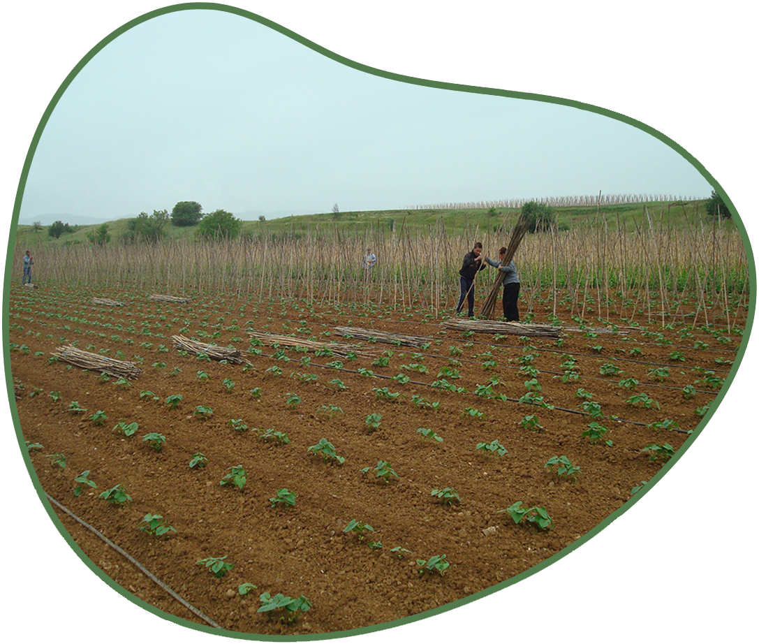 ospria-kastorias-xorafi